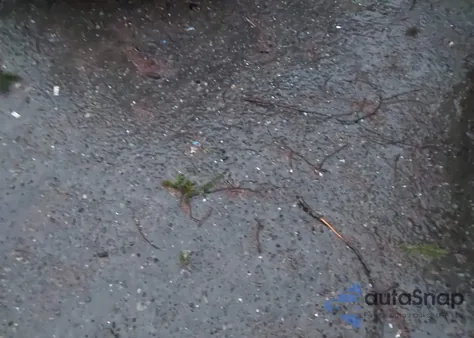 2025 Nissan Pathfinder S 4Wd z USA, uszkodzony, nr VIN 5N1DR3AC4SC312319